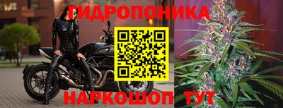 метадон Дубна
