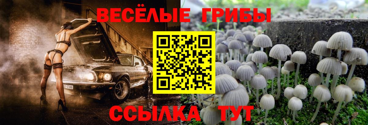 Галлюциногенные грибы мухоморы  Галлюциногенные грибы ЛСД  как найти наркотики  Вход с VPN  Нижний Новгород 